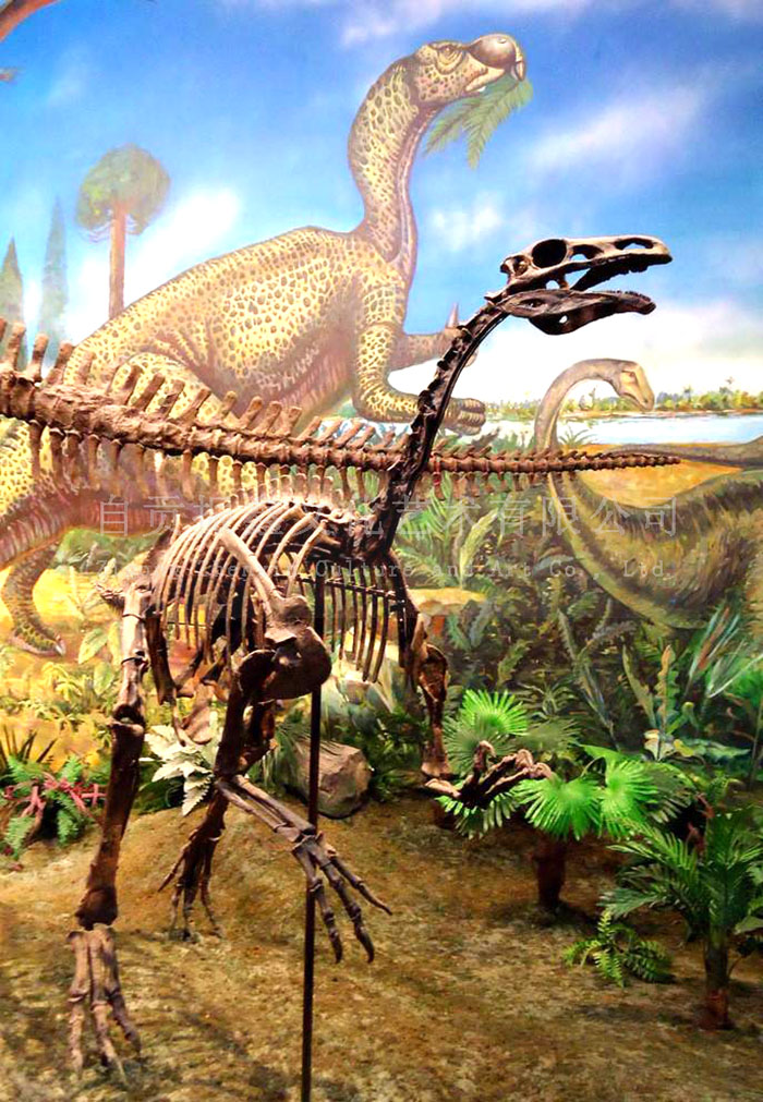 仿真恐龙化石、仿真恐龙骨架