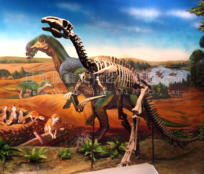仿真恐龙化石