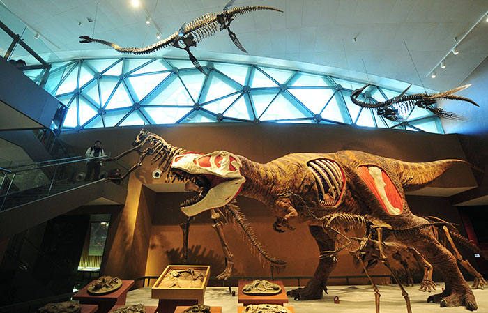 恐龙化石骨架、恐龙模型场景设计