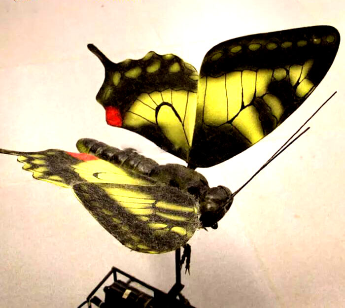 仿真昆虫、蝴蝶模型