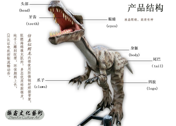 定制仿真恐龙模型、仿真模型定制