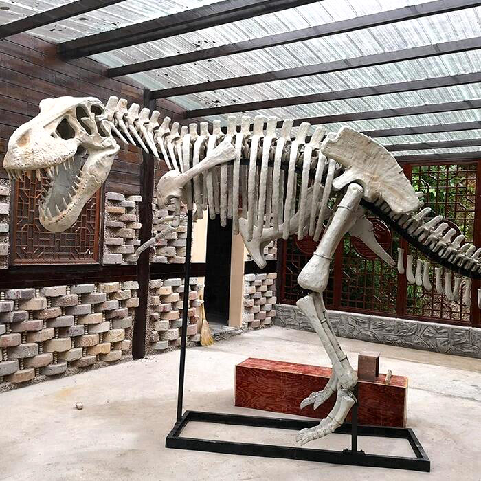 恐龙骨架、仿真模型定制