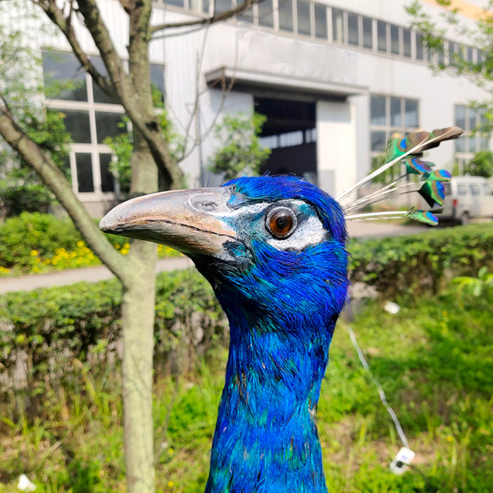 仿真动物、定制仿真动物